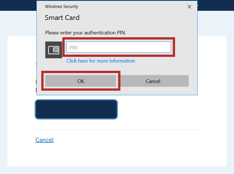 Browser window with PIN field and OK button